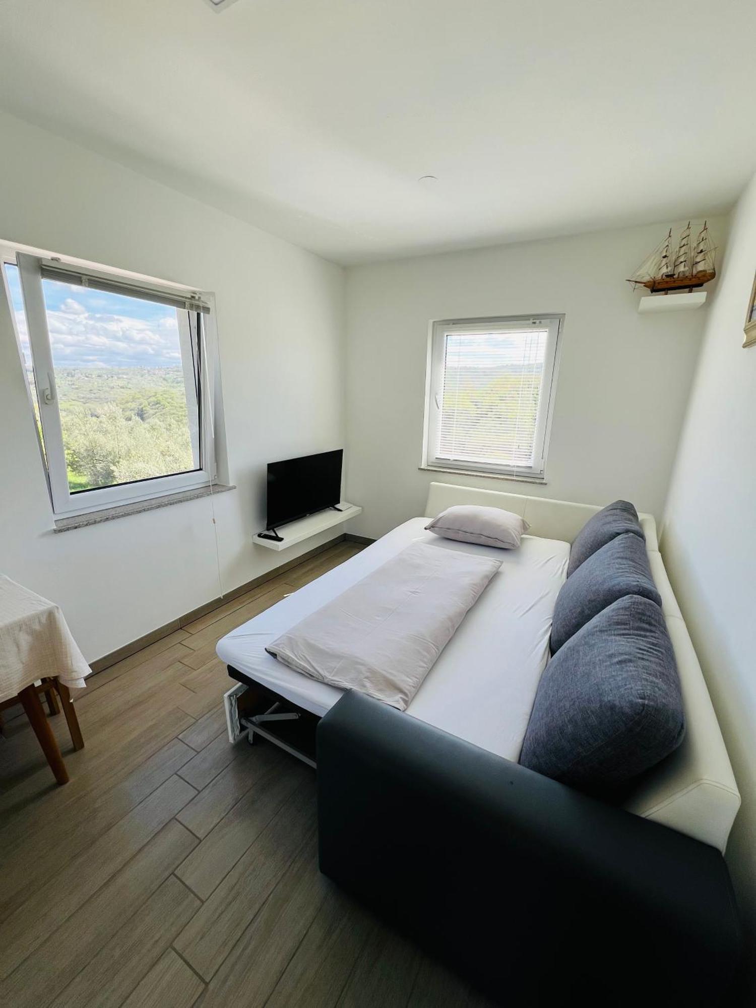 Apartment Jagodje