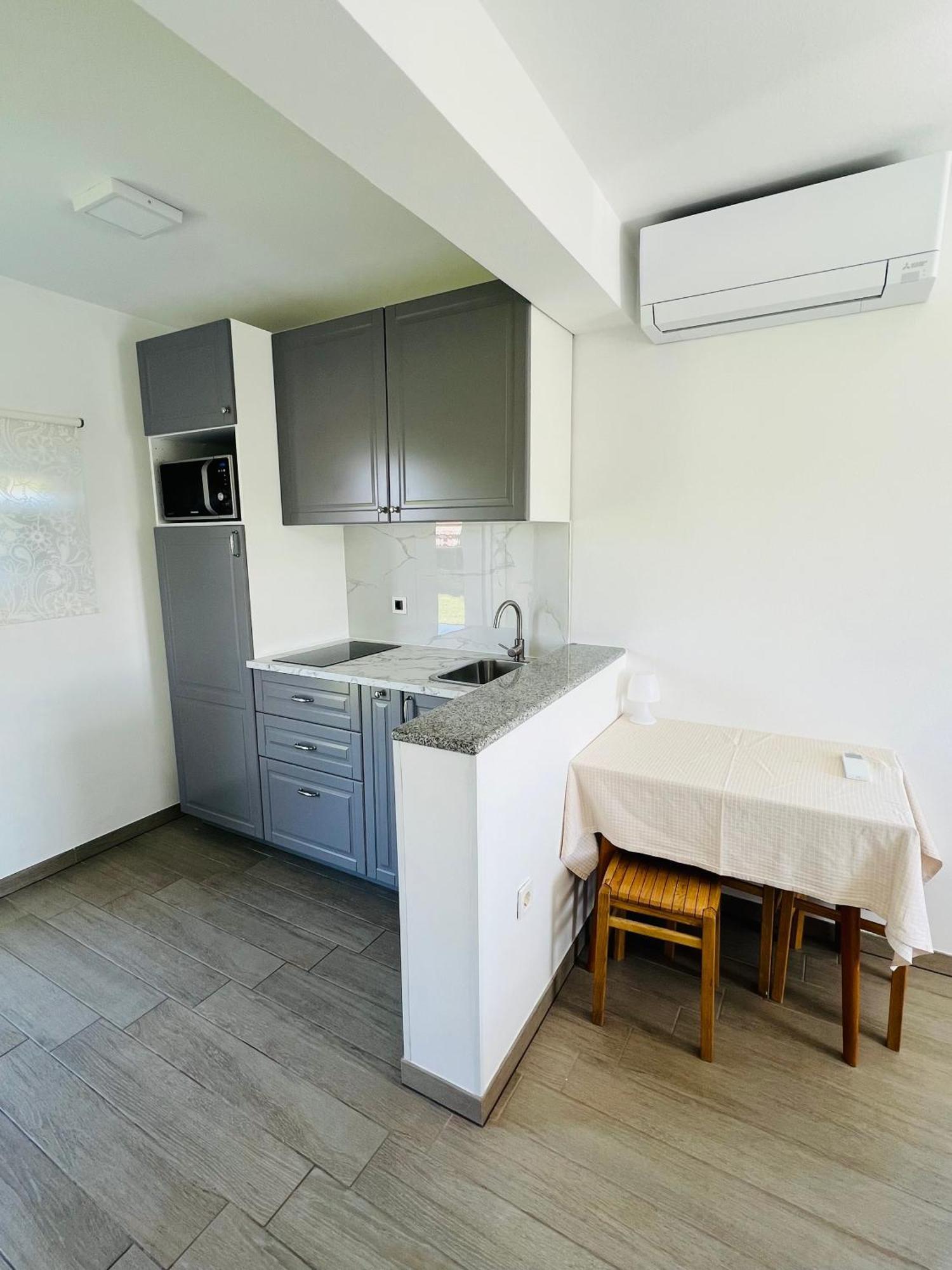 Apartment Jagodje *